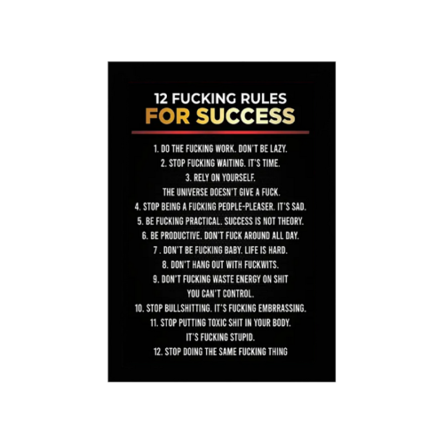 FRAME INCLUDED 8X12 Funny 12 Rules For Success Plaques & Signs Vintage Framed Aluminum Sign